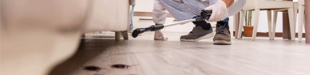 A pest control technician in gloves uses a vacuum to clean under a couch, revealing several cockroaches on the floor.