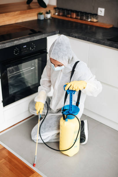 A person in protective gear uses a spray canister to treat a kitchen for pests, kneeling on a gray mat near an oven.