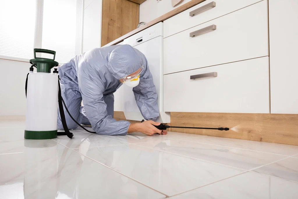 A pest control professional in a protective suit sprays pesticides under a kitchen cabinet to eliminate pests, ensuring effective Deemak Control.