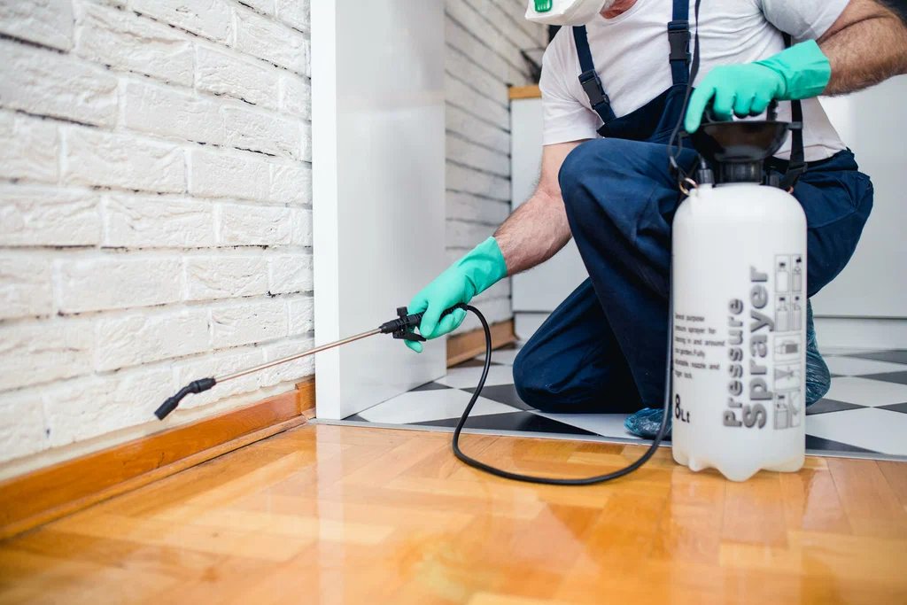 A pest control worker in gloves sprays pesticide along a wooden floor, targeting the corner near a white brick wall for effective Deemak Control.