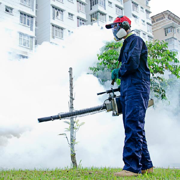 Pest control worker in protective gear fogging a residential area, surrounded by thick smoke from the equipment to eliminate dengue mosquitoes spray.