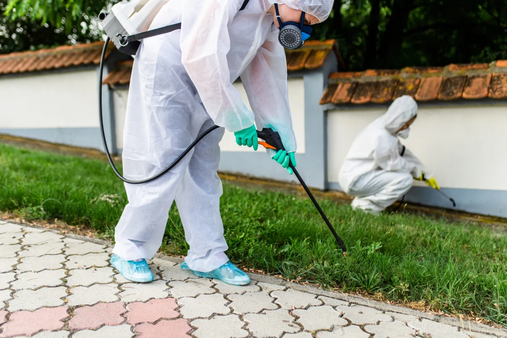 Venus Pest solution in lahore team in a protective suit sprays pesticides on grass while another worker in the background tends to an area near a wall.