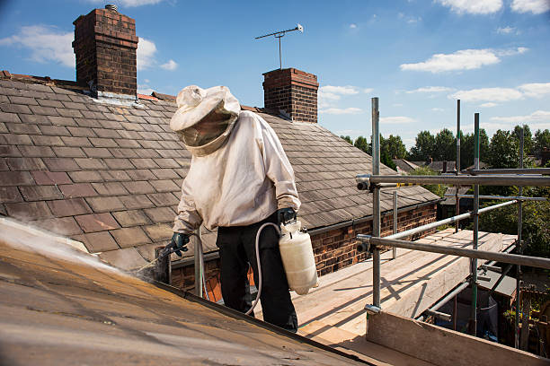 A beekeeper in protective gear applies smoke to a roof, standing on scaffolding under a clear blue sky.