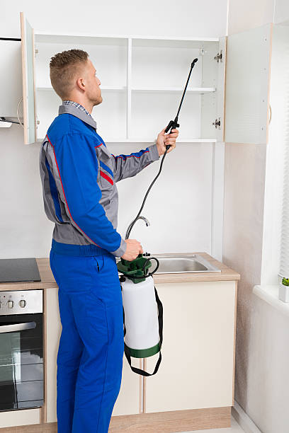A pest control professional in a blue uniform sprays insecticide inside a kitchen cabinet using a sprayer.