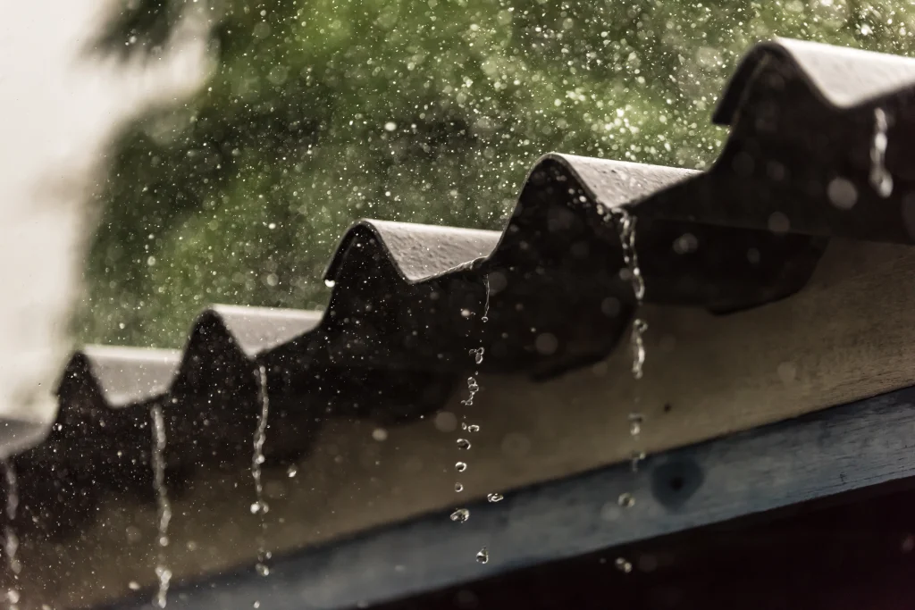 Rain cascades from a corrugated roof, with droplets glistening against a blurred green backdrop—setting the scene for seasonal pest risks and cockroach treatment awareness.