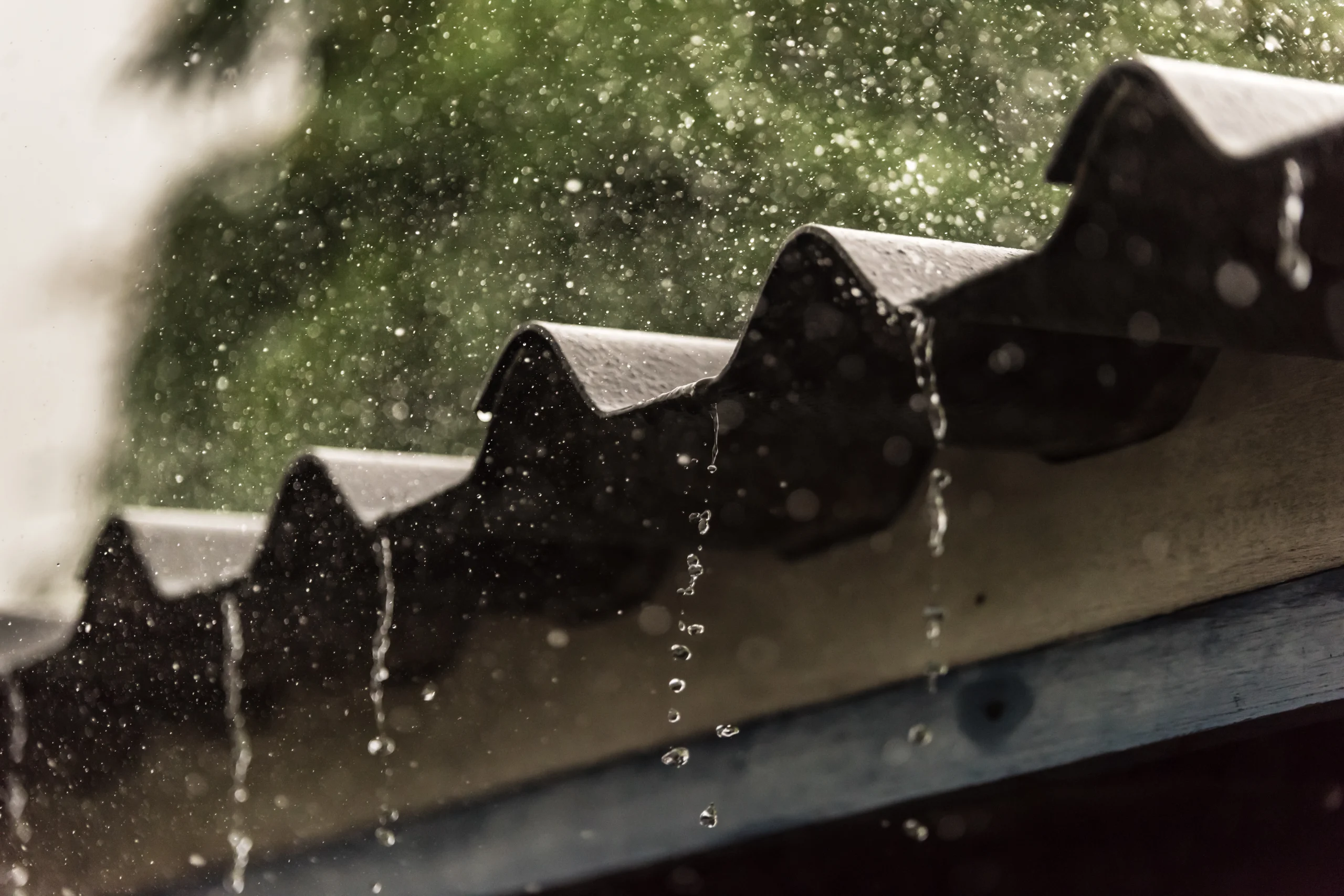 Rain cascades from a corrugated roof, with droplets glistening against a blurred green backdrop—setting the scene for seasonal pest risks and cockroach treatment awareness.