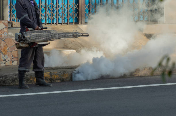 A person in dark clothing uses a fogging machine to release white smoke near a curbside. The scene suggests pest control in Islamabad efforts in an urban area.