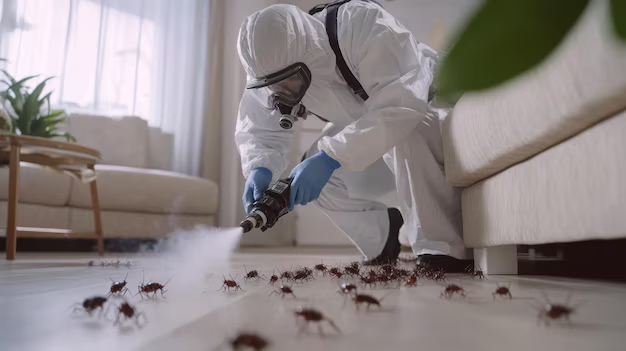 A pest control in gujranwala technician in protective gear sprays insecticide on a floor infested with cockroaches in a residential living room.