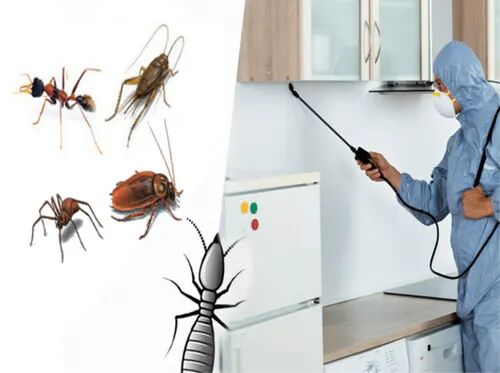 A pest control in Gujranwala worker in protective gear sprays insecticide in a kitchen, with various pests like ants and spiders depicted alongside.