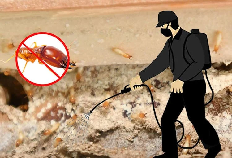 A pest control in gujranwala worker in protective gear sprays a chemical to eliminate pests, with a "no bugs" symbol in the background.