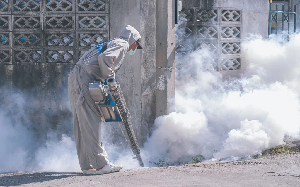 Pest Control in Multan