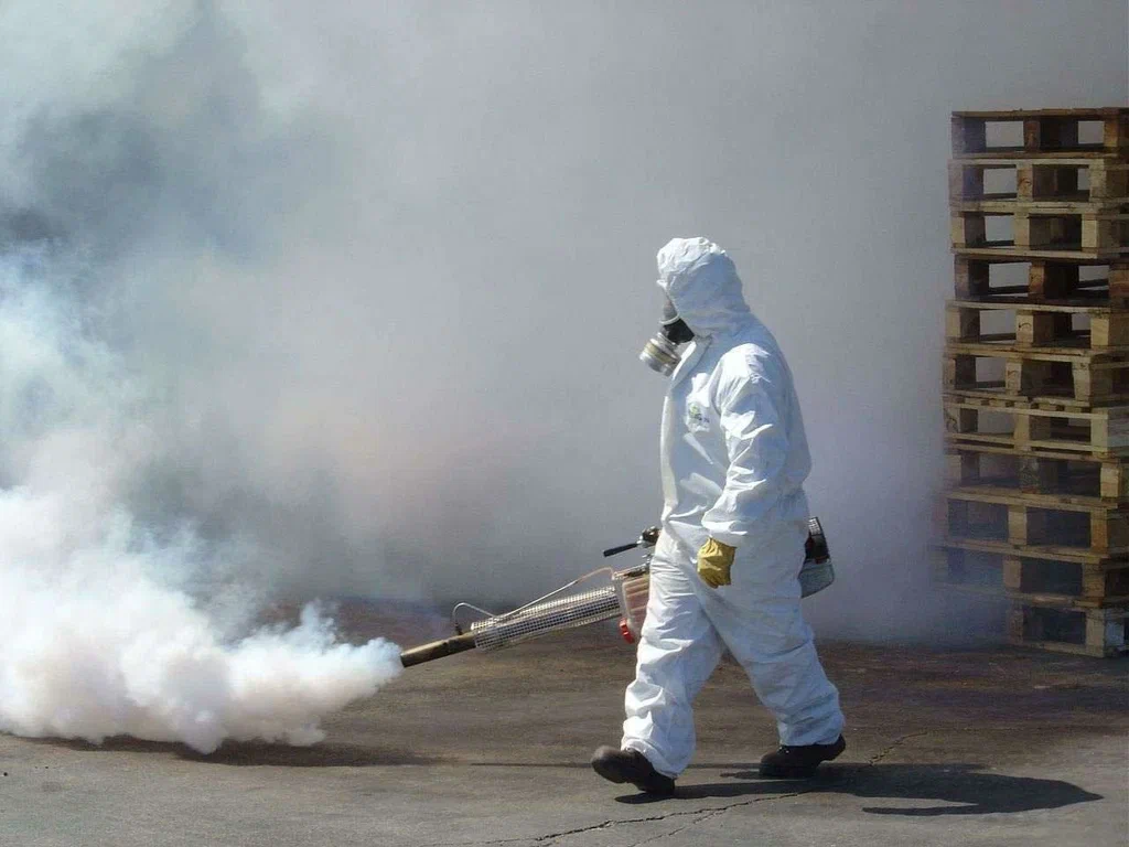 Mosquitoes Spray in Sheikupura.