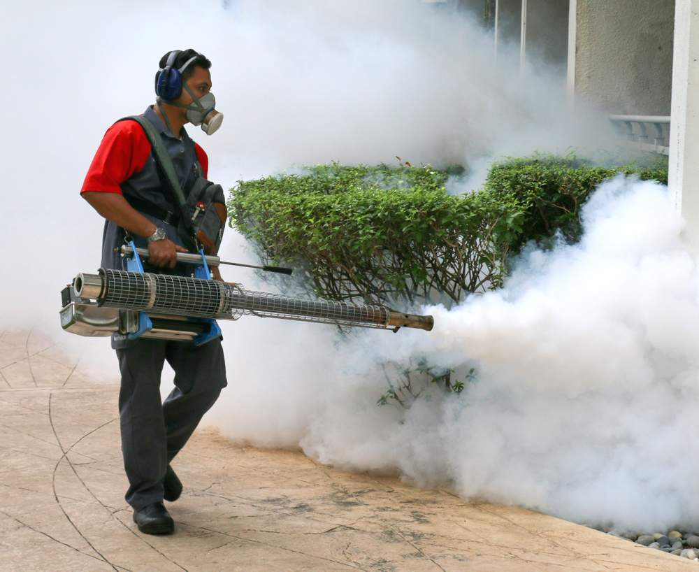 Pest Control in Faisalabad