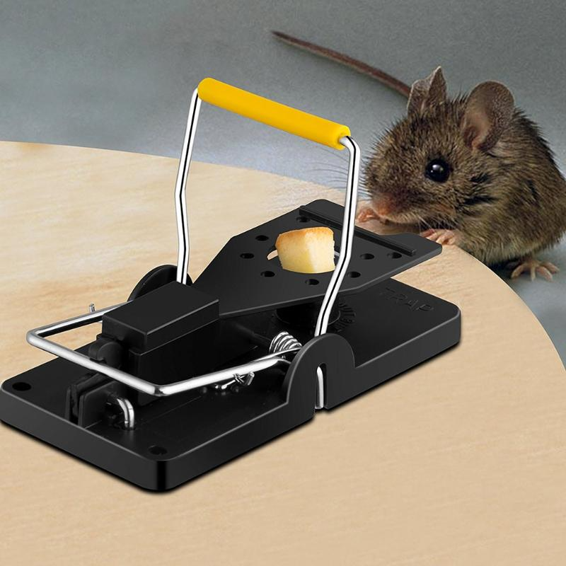 Pest Control in Multan