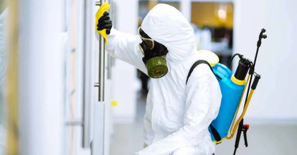 termite treatment in sialkot