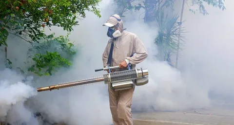 Pest Control in Bahawalpur