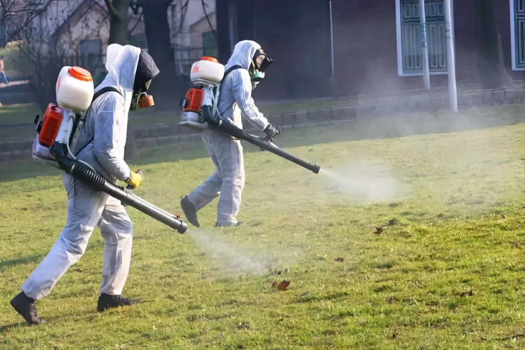Pest Control in Okara