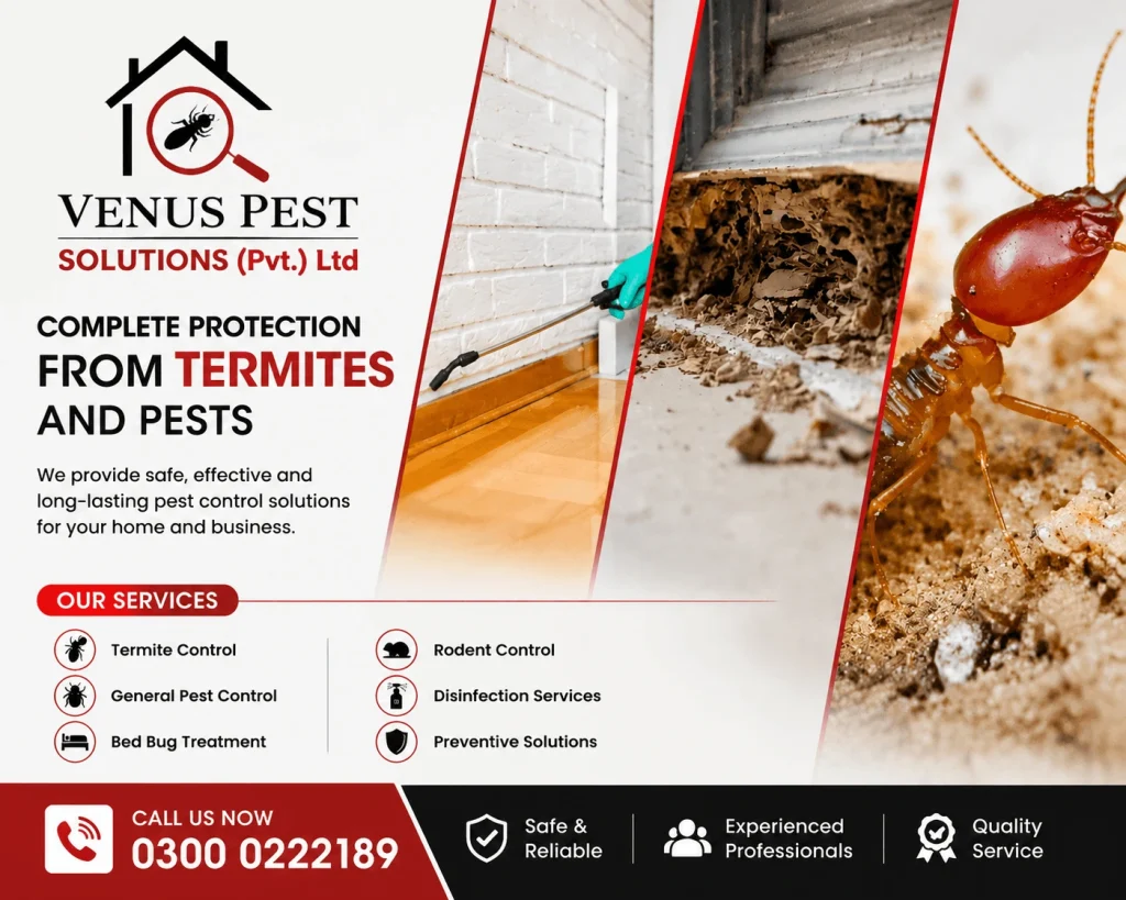 Best anti termite solution. Termite control in lahore.