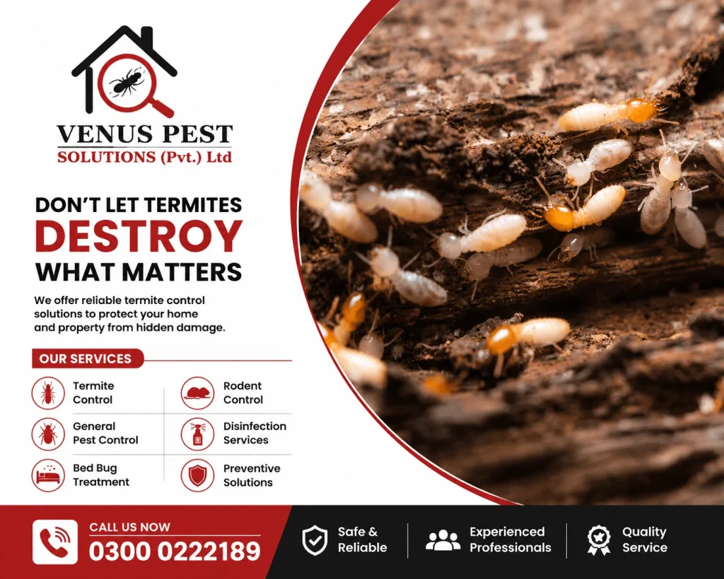 Best anti termite solution.