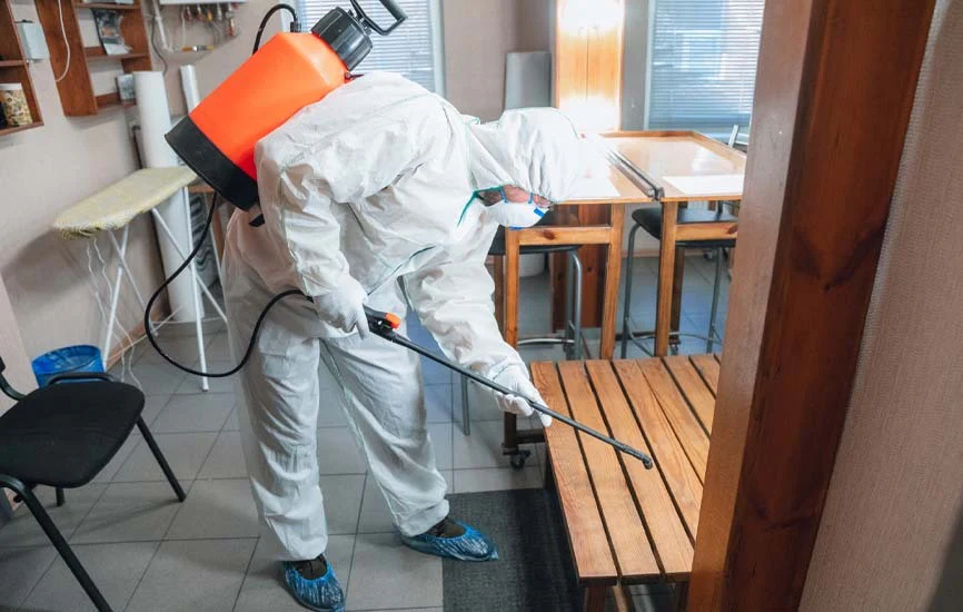 IPM Services
