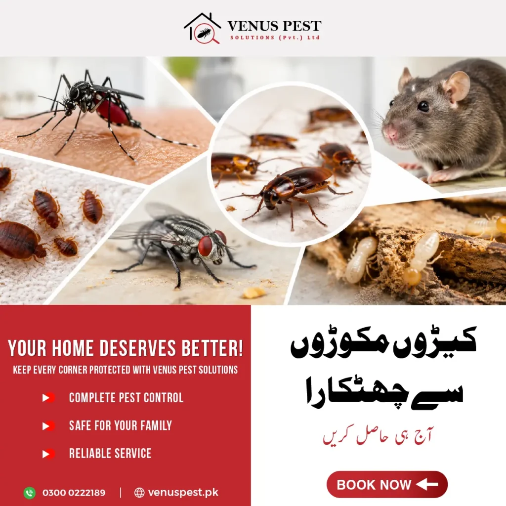 best Pest Control company