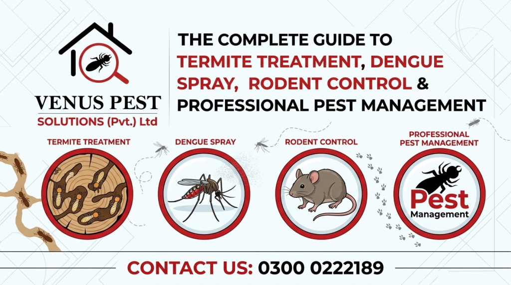 Professional Pest Control Services in Multan